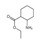 2-氨基环己烷甲酸乙酯结构式