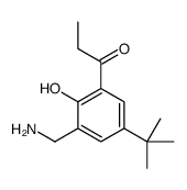 2-aminomethyl-4-tert-butyl-6-propionylphenol结构式
