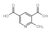 2-甲基吡啶-3,5-二羧酸结构式