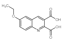 6-乙氧基喹啉-2,3-二羧酸结构式