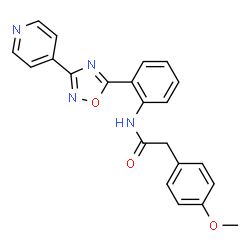 2-(4-methoxyphenyl)-N-{2-[3-(pyridin-4-yl)-1,2,4-oxadiazol-5-yl]phenyl}acetamide结构式