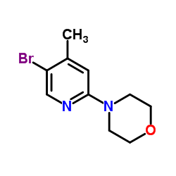 5-溴-2-吗啉-4-甲基吡啶结构式