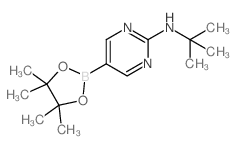 2-T-丁基氨基嘧啶-5-硼酸频那醇酯图片