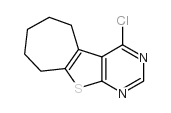 4-氯-6,7,8,9-四氢-5H-环庚并[4,5]噻吩并[2,3-d]嘧啶结构式