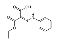 phenylhydrazono-malonic acid monoethyl ester Structure