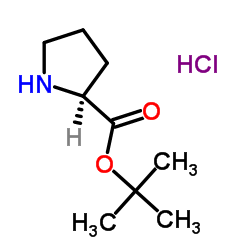 L-脯氨酸特丁酯盐酸盐结构式