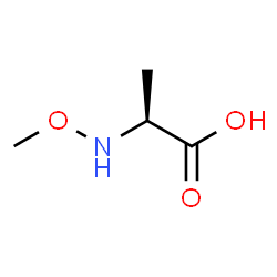 L-Alanine, N-methoxy- (9CI)结构式