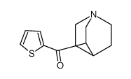 1-azabicyclo[2.2.2]octan-3-yl(thiophen-2-yl)methanone结构式