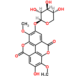 3-O-Methylducheside A Structure
