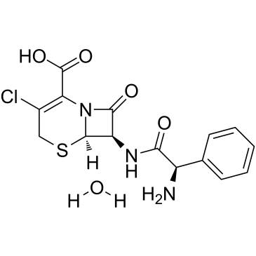 Cefaclor Monohydrate structure