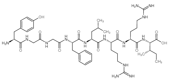 强啡肽1～8片段结构式