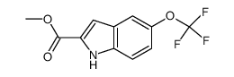 methyl 5-trifluoromethoxyindole-2-carboxylate Structure