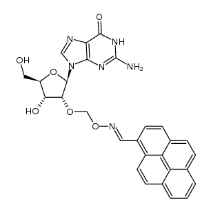 2'-O-(pyren-1-ylmethanimine-N-oxymethyl)guanosine结构式