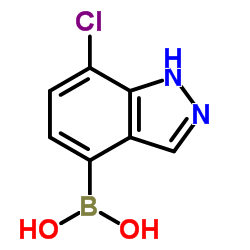 7-Chloro-1H-indazole-4-boronic acid Structure