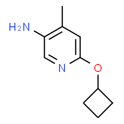 6-环丁氧基-4-甲基吡啶-3-胺结构式