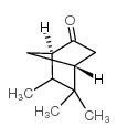 5,5,6-三甲基双环[2.2.1]庚烷-2-酮结构式