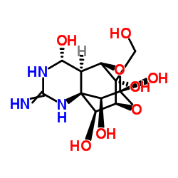 Tetrodotoxin structure