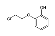2-hydroxyphenyl 2-chloroethyl ether Structure