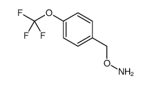 O-[[4-(trifluoromethoxy)phenyl]methyl]hydroxylamine Structure