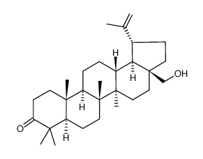 3-Oxobetulin结构式