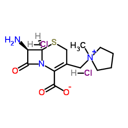 (r,r)-7-amino-3-(1-methylpyrrolidinio)methyl-3-cephem-4-carboxylate hcl Structure
