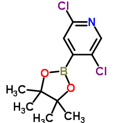 2,5-二氯吡啶-4-硼酸频呢醇酯结构式