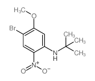 4-Bromo-N-(tert-butyl)-5-methoxy-2-nitroaniline Structure