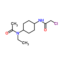 N-{4-[(Chloroacetyl)amino]cyclohexyl}-N-ethylacetamide Structure