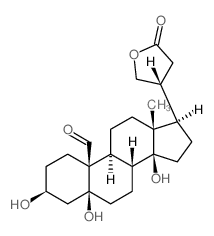 (3S,5S,8R,9S,10S,13R,14S,17R)-3,5,14-trihydroxy-13-methyl-17-[(3R)-5-oxooxolan-3-yl]-2,3,4,6,7,8,9,11,12,15,16,17-dodecahydro-1H-cyclopenta[a]phenanthrene-10-carbaldehyde Structure