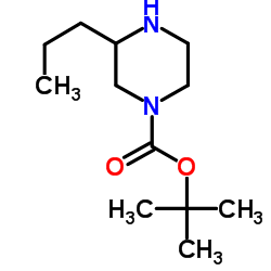 1-BOC-3-丙基哌嗪结构式