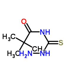 N-(肼硫代羰基)新戊酰胺图片