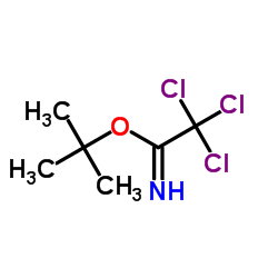 叔丁基三氯乙酰亚胺酯图片