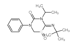 (Z)-2-(叔丁基亚氨基)-3-异丙基-5-苯基-1,3,5-噻二嗪-4-酮结构式