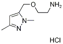 {2-[(1,3-Dimethyl-1H-pyrazol-5-yl)-methoxy]ethyl}amine hydrochloride Structure