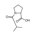 L-1-异丁酰基脯氨酸结构式
