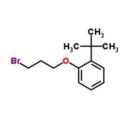 1-(3-Bromopropoxy)-2-(2-methyl-2-propanyl)benzene Structure