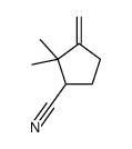 2,2-dimethyl-3-methylidenecyclopentane-1-carbonitrile结构式