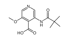 3-Methoxy-5-(pivaloylamino)pyridine-4-carboxylic Acid结构式