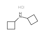 DICYCLOBUTYLAMINE HCL结构式