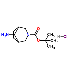 8-氨基-3-氮杂双环[3.2.1]辛烷-3-羧酸叔丁酯盐酸盐结构式