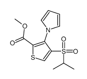 4-(异丙基磺酰基)-3-(1H-吡咯-1-基)噻吩-2-羧酸甲酯结构式