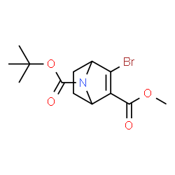 7-叔丁基2-甲基3-溴-7-氮杂双环[2.2.1]庚-2-烯-2,7-二羧酸酯结构式