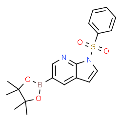 1-(苯磺酰基)-5-(4,4,5,5-四甲基-1,3,2-二氧硼杂环戊烷-2-基)-1H-吡咯并[结构式