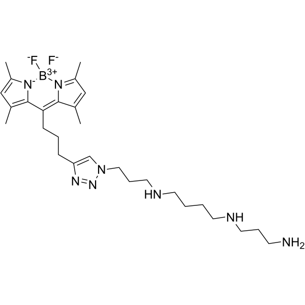 Fluorescent polyamine probe-1 Structure