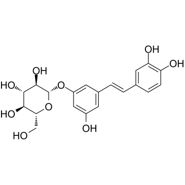 白皮杉醇葡萄糖苷图片