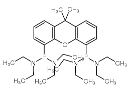 P,P′-(9,9-二甲基-9H-氧杂蒽-4,5-二基)双[N,N,N′,N′-四乙基-亚膦酸二酰胺]结构式
