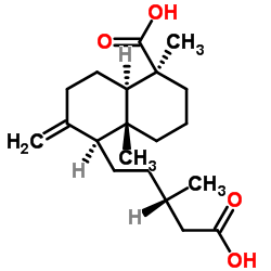 南亚松酸结构式