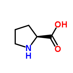 DL-脯氨酸结构式