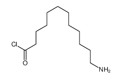 12-aminododecanoyl chloride Structure