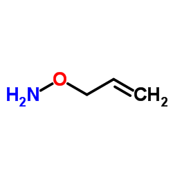 O-Allyl-hydroxylamine Structure